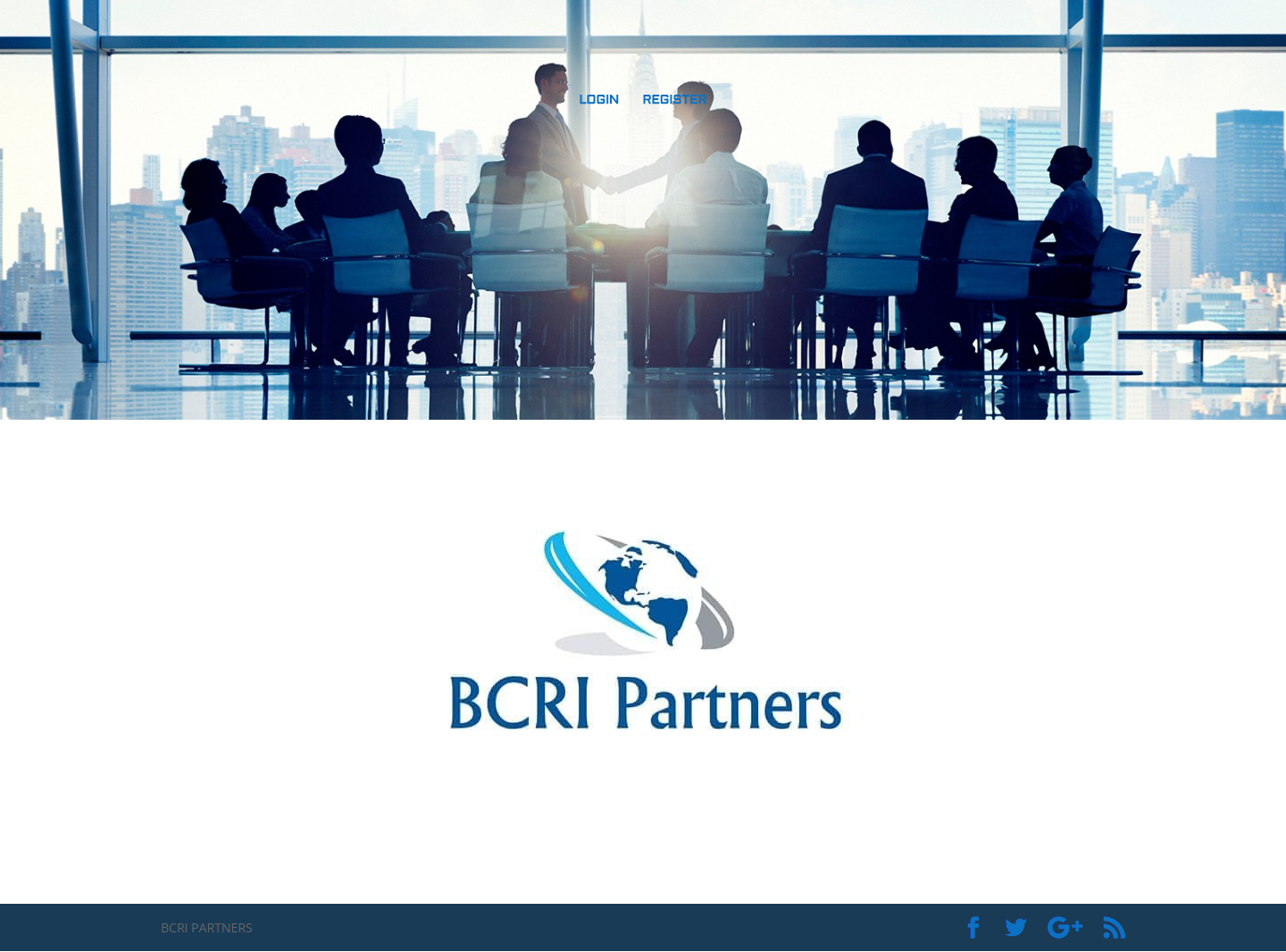 BCRI Partners